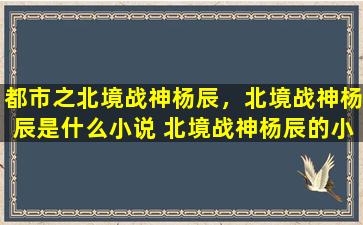 都市之北境战神杨辰，北境战神杨辰是什么小说 北境战神杨辰的小说介绍